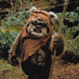 Meet your Posher, Robin